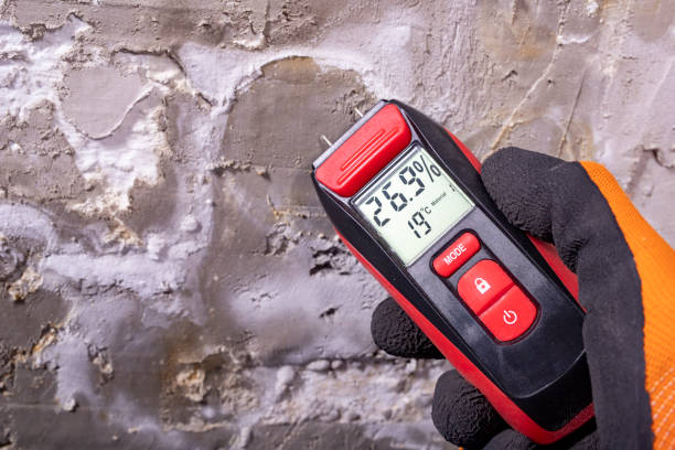 Best Mold Remediation Experts  in Mehlville, MO