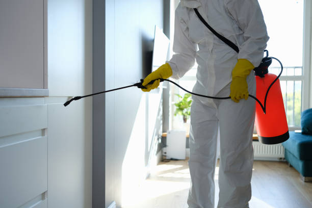 Mold Testing and Removal in Mehlville, MO