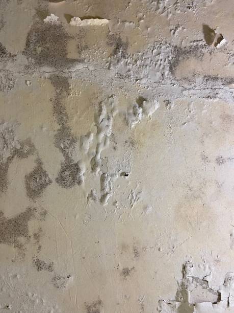 Water Damage Restoration in Mehlville, MO